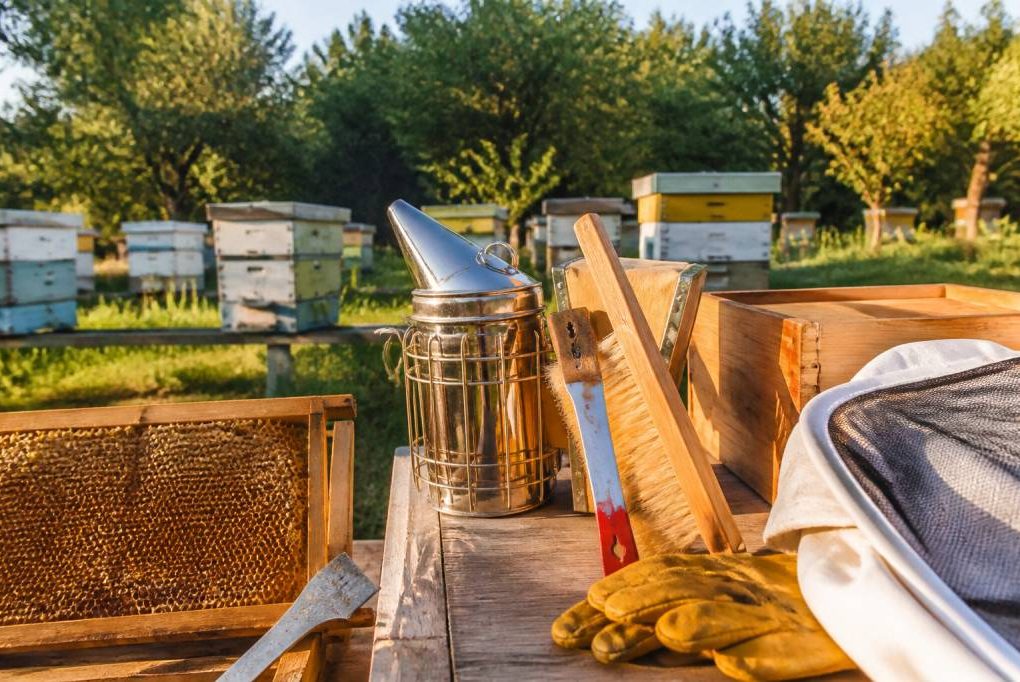 Achat matériel apiculture : choisir l’équipement adapté pour son rucher