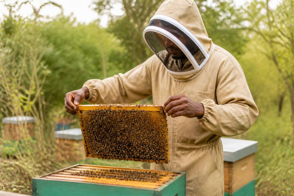 Éleveur d'abeille : rôle, compétences et bonnes pratiques en apiculture naturelle