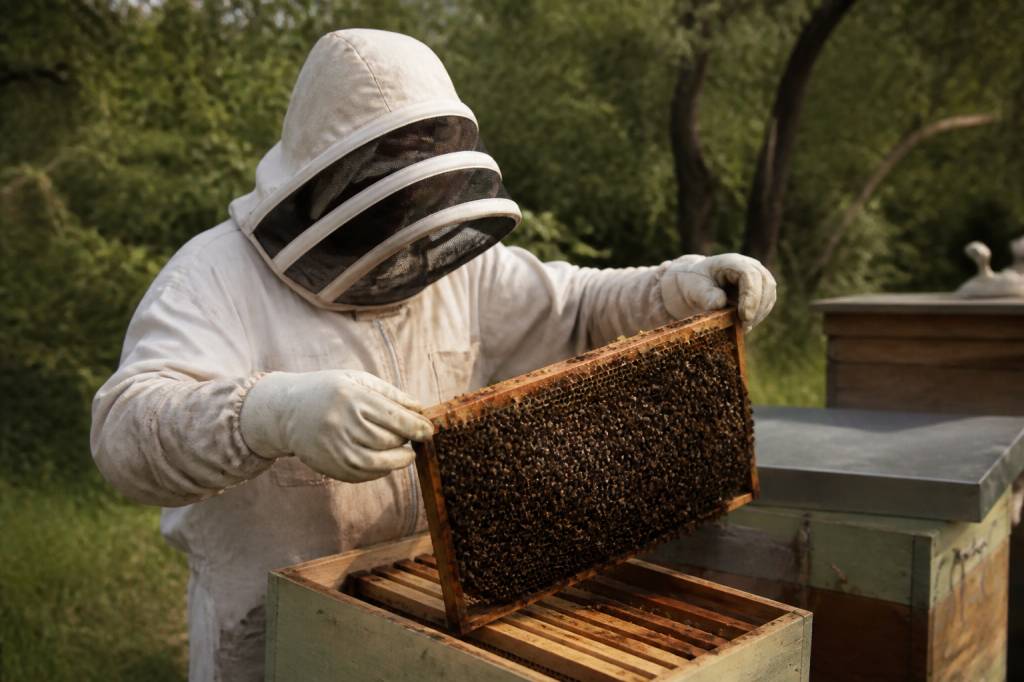 Bprea apiculture : comment réussir sa formation et développer son rucher