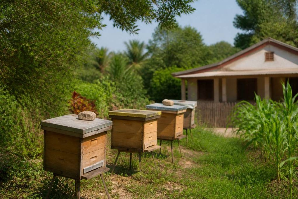 Distance ruche habitation : règles et recommandations pour installer une ruche en toute sécurité