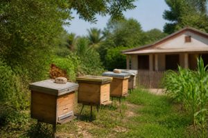 Distance ruche habitation : règles et recommandations pour installer une ruche en toute sécurité
