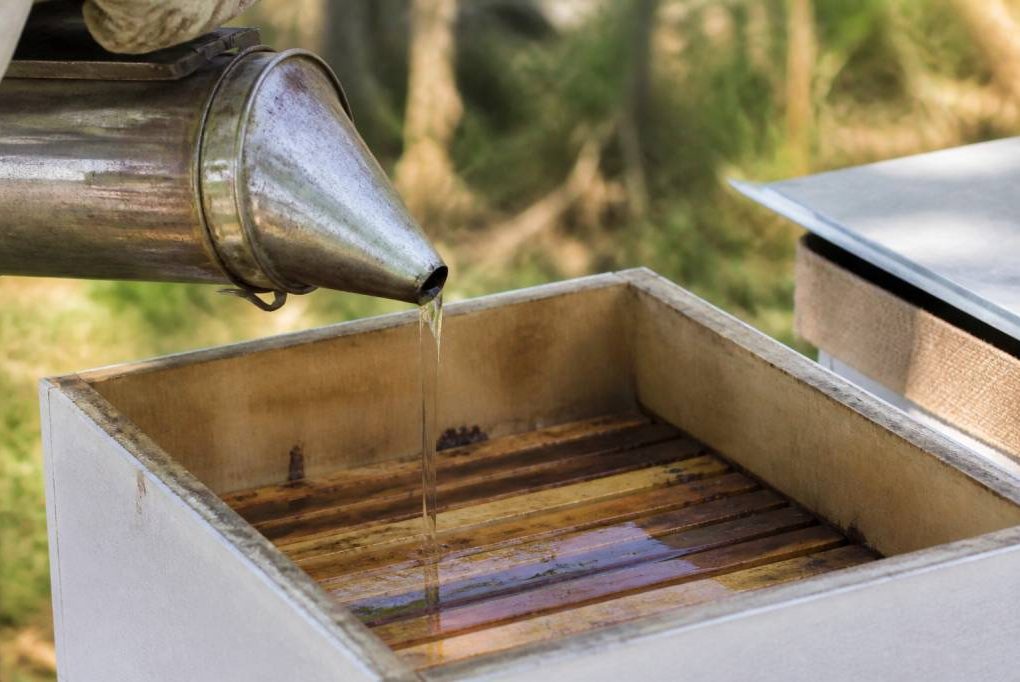 Recette sirop pour abeille : préparer un aliment énergétique pour les abeilles du rucher