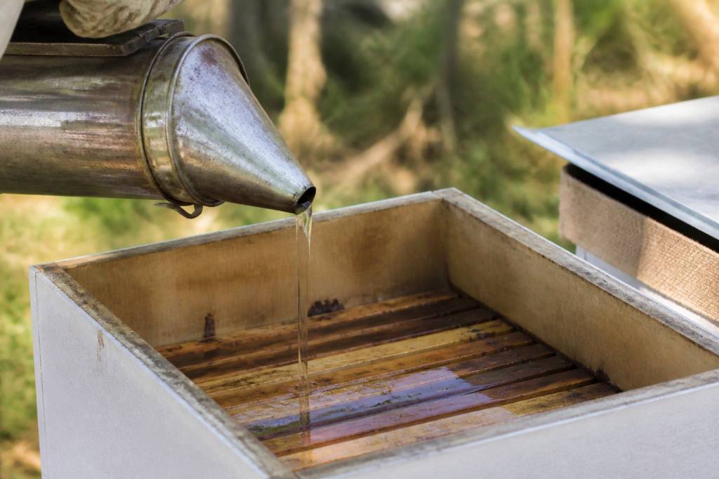 Recette sirop pour abeille : préparer un aliment énergétique pour les abeilles du rucher