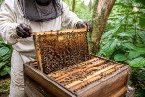 Apicole définition : comprendre les principes et les pratiques de l’apiculture naturelle