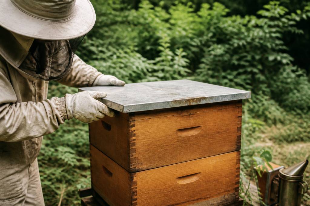 Combien de temps peut-on fermer une ruche sans mettre les abeilles en danger